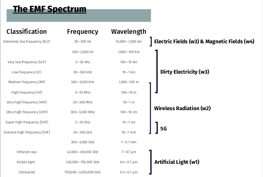 1EMF SPECTRUM