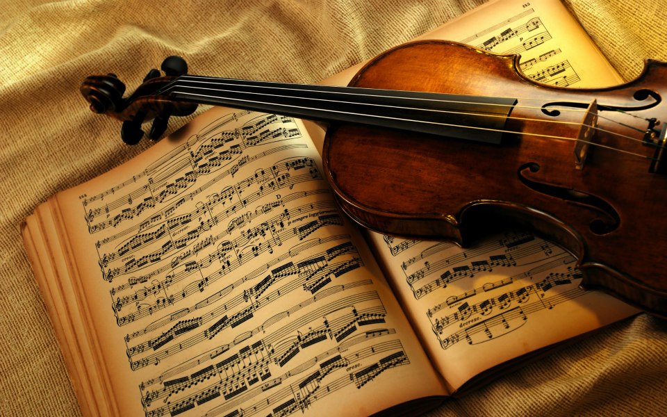 01p violin