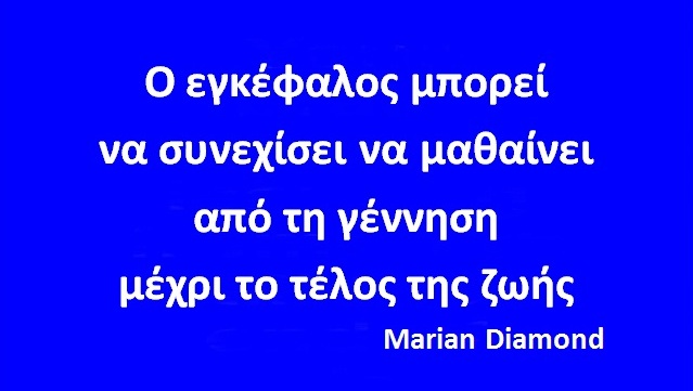 01t brain can keep learning forever