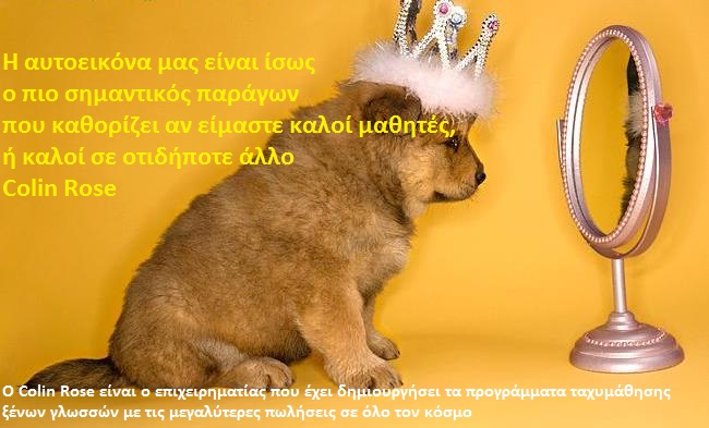 Puppy wearing crown in front of mirror.